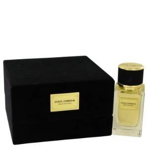 Dolce &amp; Gabbana Velvet Patchouli Cologne Perfume by Dolce&amp;Gabbana 돌체앤가바나 벨벳 파출리 50ml EDP
