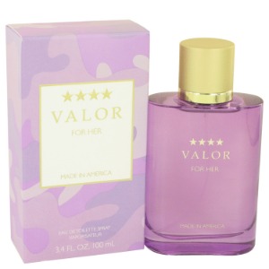 Valor Perfume by DANA 다나 발로르 100ml EDT