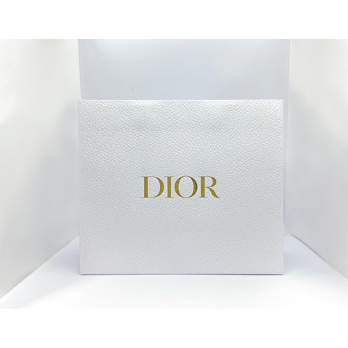 [Dior] 디올 쇼핑백 대 사이즈